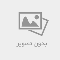 شیر الاغ برای سالمندان؛ فواید و نکات مهم